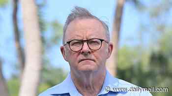 How migrant who sexually abused nine-year-old girl was allowed to stay in Australia - as lawyer demands he is sent to his home country