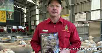 Tamworth ag teacher recognised for contribution to White Suffolk industry