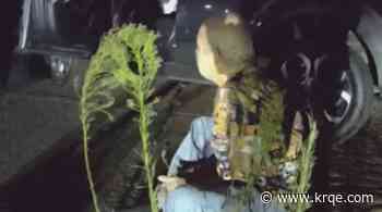 VIDEO: Albuquerque police arrest man in wrong-way crash suspected of DWI