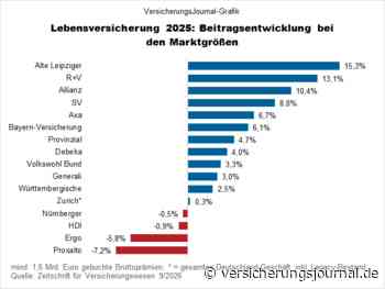 Dies waren 2025 die umsatzstärksten Lebensversicherer