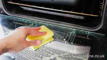 I cleaned my oven, shower and toilet with £1.69 item that required no effort