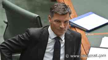 Cigarette prices to drop $30 under radical Coalition plan - as Angus Taylor denies lifting policy from One Nation