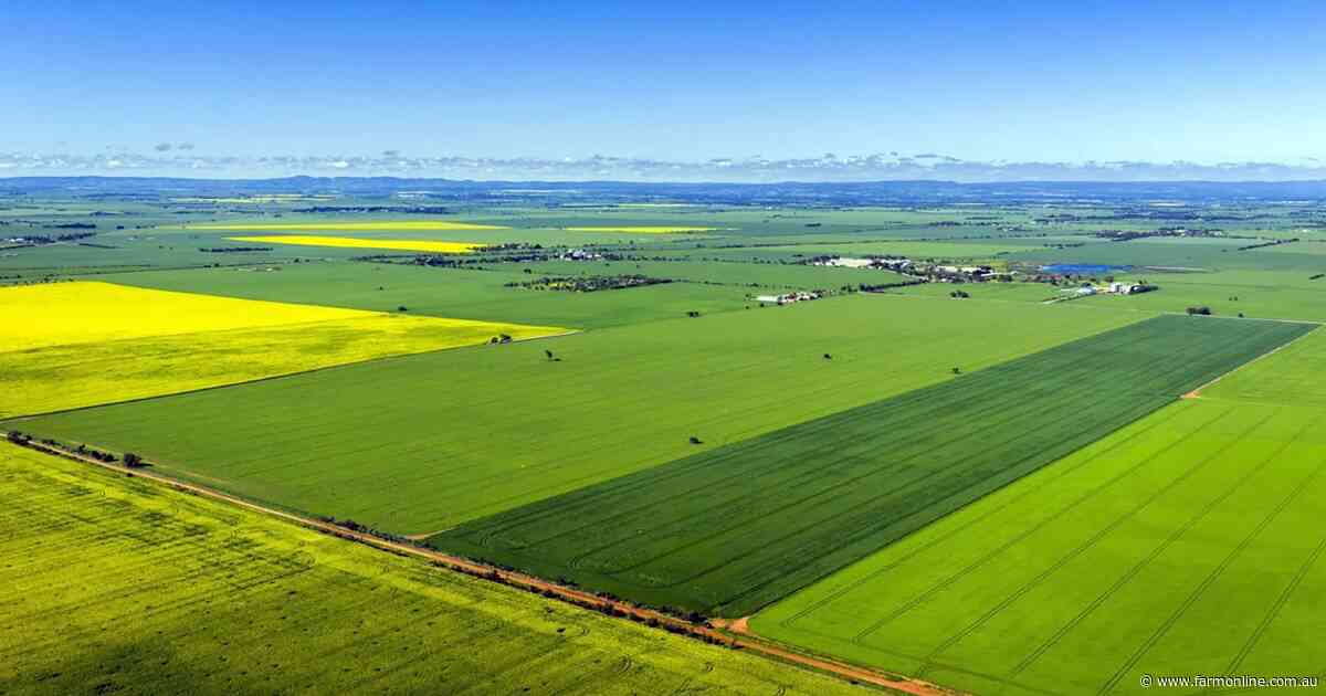 Hot demand expected for cropping country on the tightly held Adelaide Plains