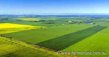 Hot demand expected for cropping country on the tightly held Adelaide Plains