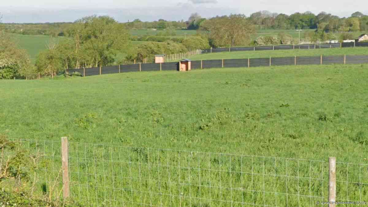 Dog daycare business loses planning appeal over animal exercise ban