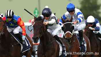 They’re racing at Randwick on Saturday. These are the horses that will win