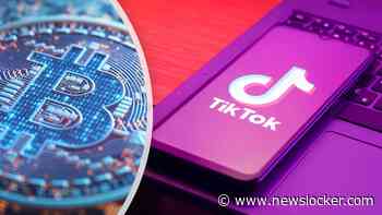 TikTok-generatie keihard in vizier van online criminelen: jongeren belaagd met crypto-scams en nepwebshops