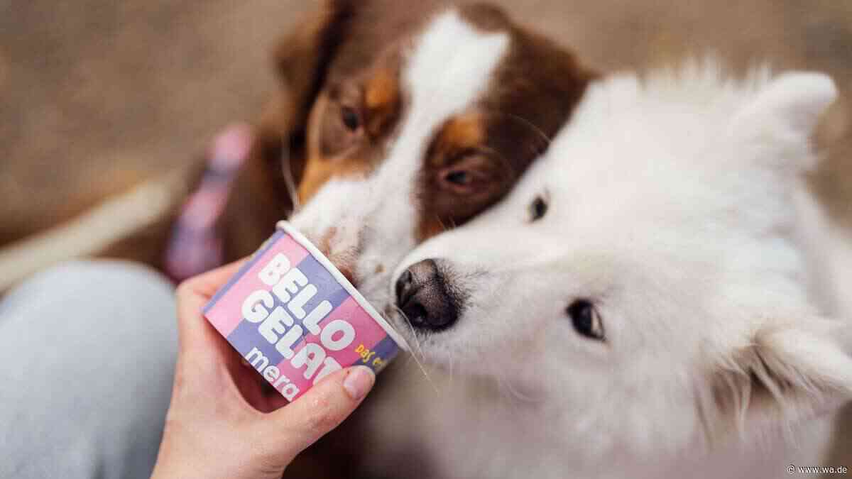 Hundeeis aus Eismanufaktur: Dieses Eis können Herrchen und Vierbeiner gemeinsam schlecken