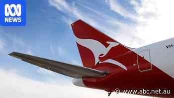 Qantas slashes allowance and raises luggage prices for island flights