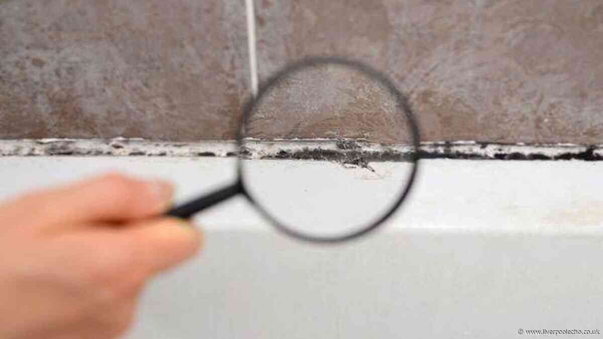 Mould vanishes from bathroom edges when you use 2 basic items – don't scrub
