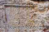 120 Ancient Inscriptions Suggest Roman Women Gathered Deep Underground to Worship 'the Lady'