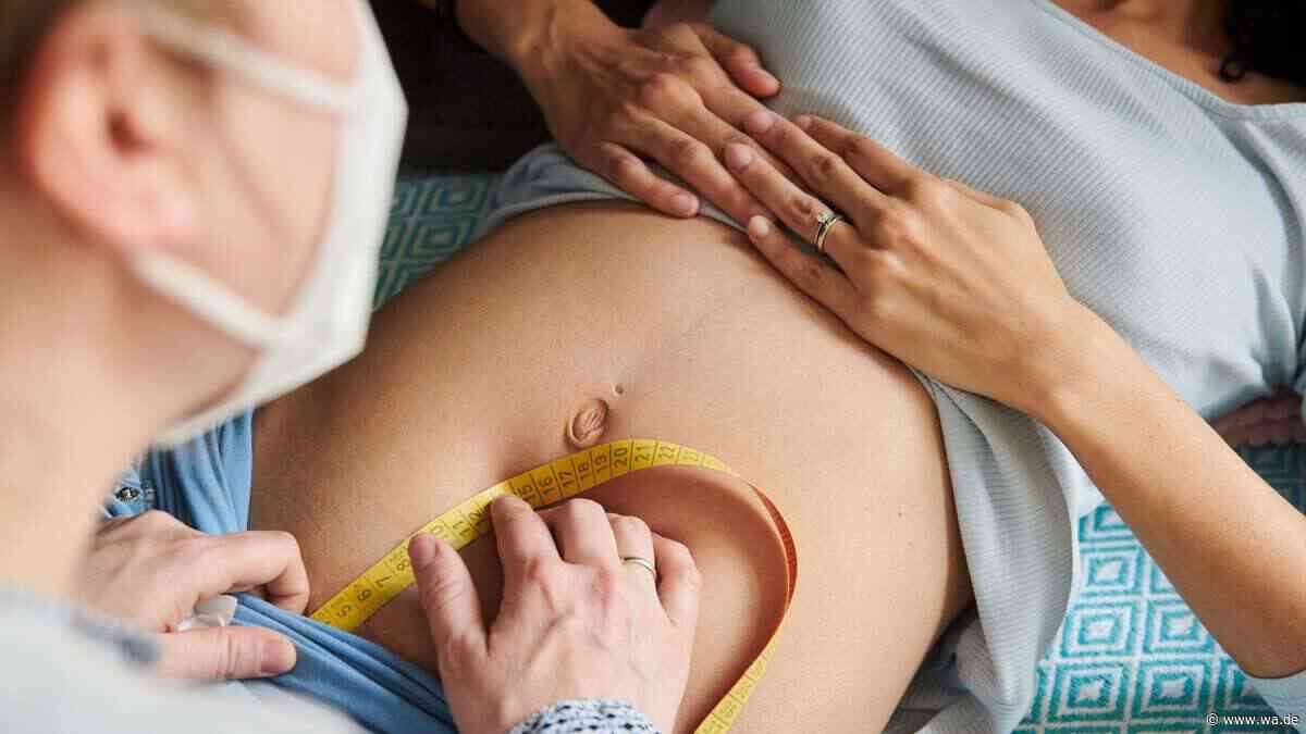 Nicht nur die Mutter zählt: Väter beeinflussen Fehlbildungsrisiko durch Vitamin-B12-Status