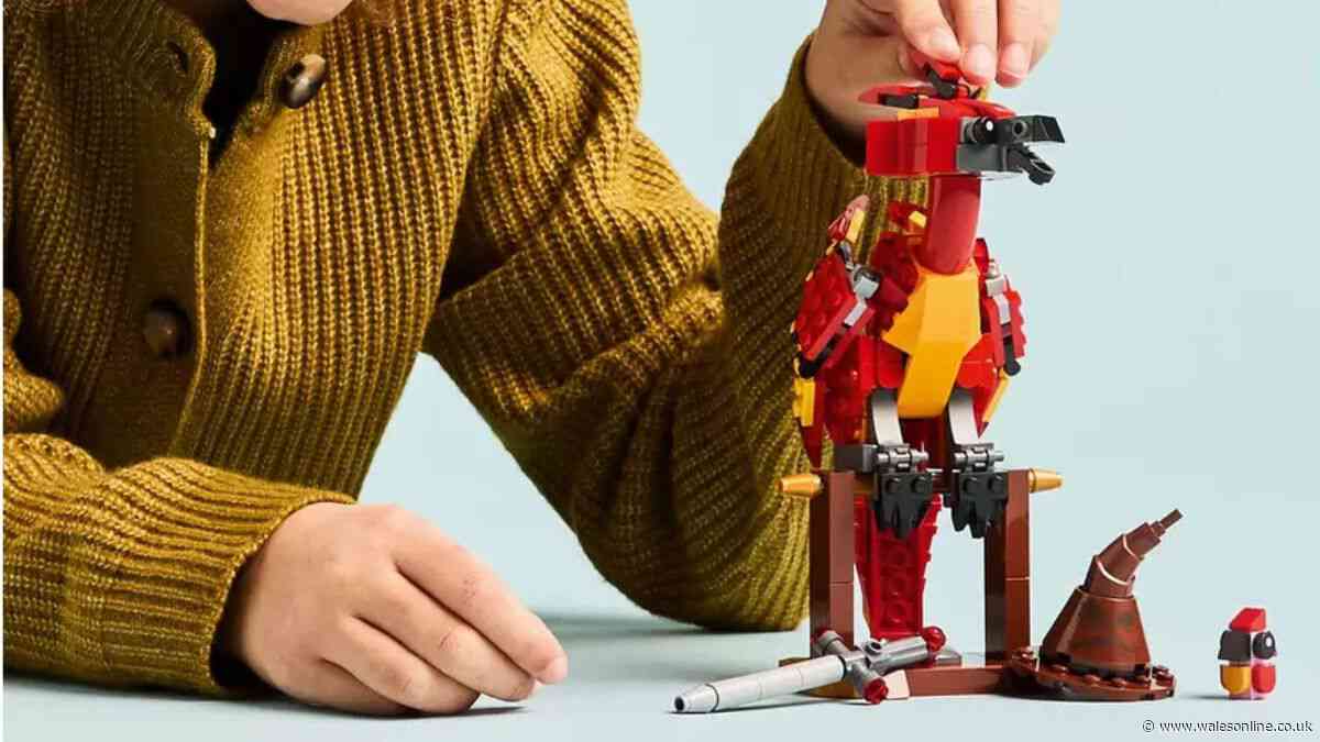 Harry Potter fans snap up £18 LEGO Fawkes set under £3 as HBO drops new series trailer