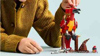 Harry Potter fans snap up £18 LEGO Fawkes set under £3 as HBO drops new series trailer