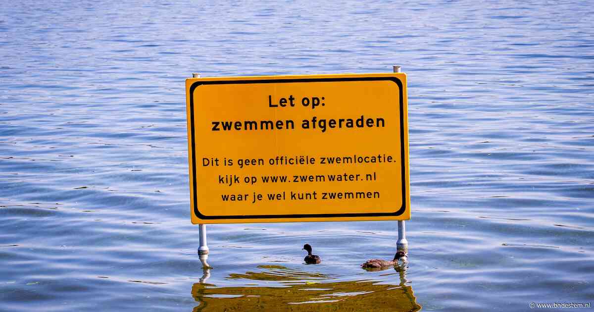 Al het zwemwater in Nederland vervuild met chemische stoffen, blijkt uit onderzoek: ‘Overheid grijpt niet in’