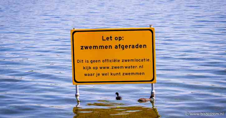 Al het zwemwater in Nederland vervuild met chemische stoffen, blijkt uit onderzoek: ‘Overheid grijpt niet in’