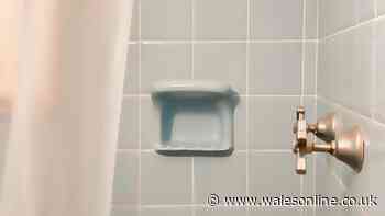 Banish mould from bathrooms with 35p item dubbed 'best thing' by cleaning experts