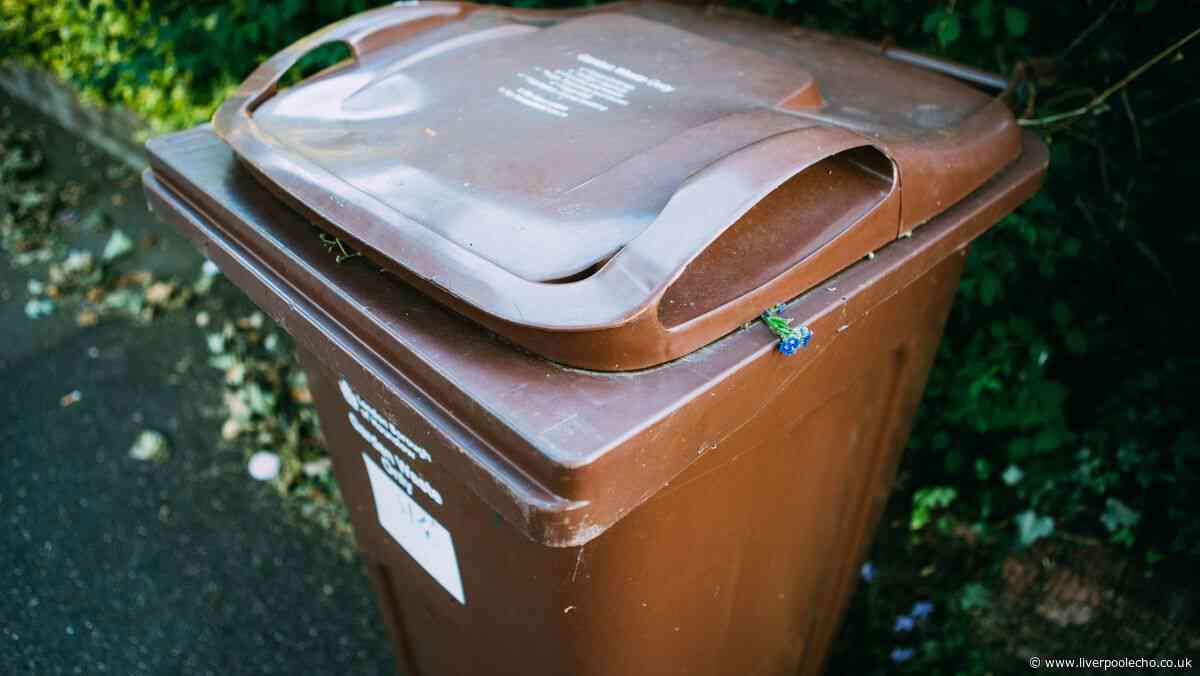 Binman issues 'maggots' warning for anyone who throws away this everyday item
