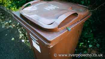 Binman issues 'maggots' warning for anyone who throws away this everyday item