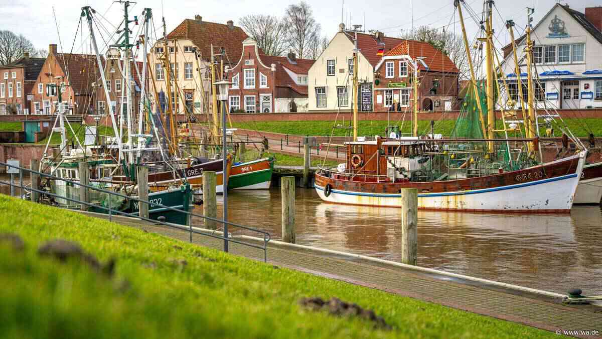 Keine Hunde mehr erlaubt: Nordsee-Restaurant zieht „nach wiederholten Vorfällen“ die Reißleine