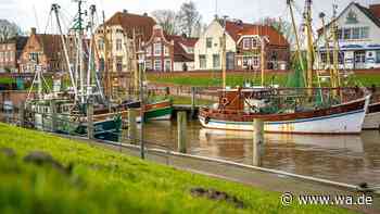 Keine Hunde mehr erlaubt: Nordsee-Restaurant zieht „nach wiederholten Vorfällen“ die Reißleine