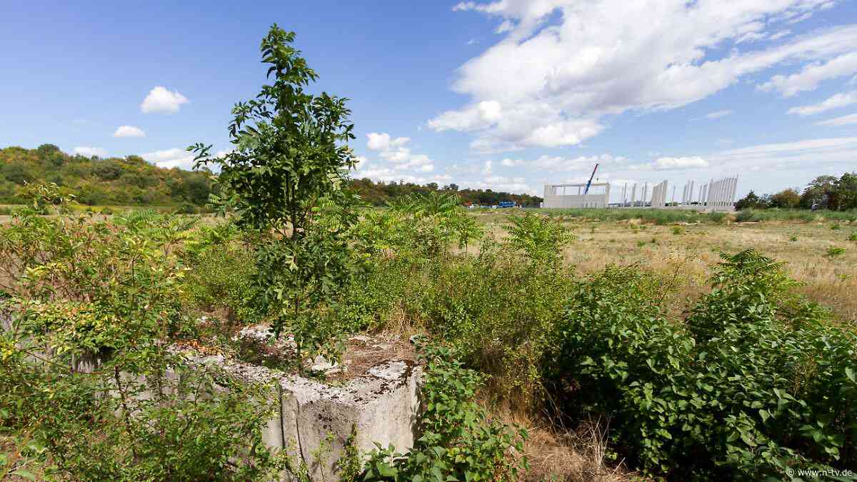 Protest gegen Bauprojekt: Auf ehemaligem KZ-Gelände bei Wien soll Gewerbepark entstehen