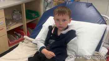 Schoolboy rushed to hospital after hand turns blue from petting 'worm' in park