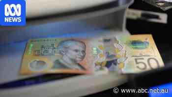 Small businesses scan for fake cash as counterfeit seizures soar