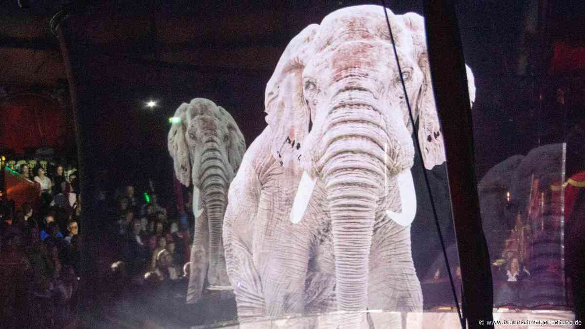 Zoo ohne Tiere: 21-Jährige träumt von neuer Attraktion für Wolfsburg