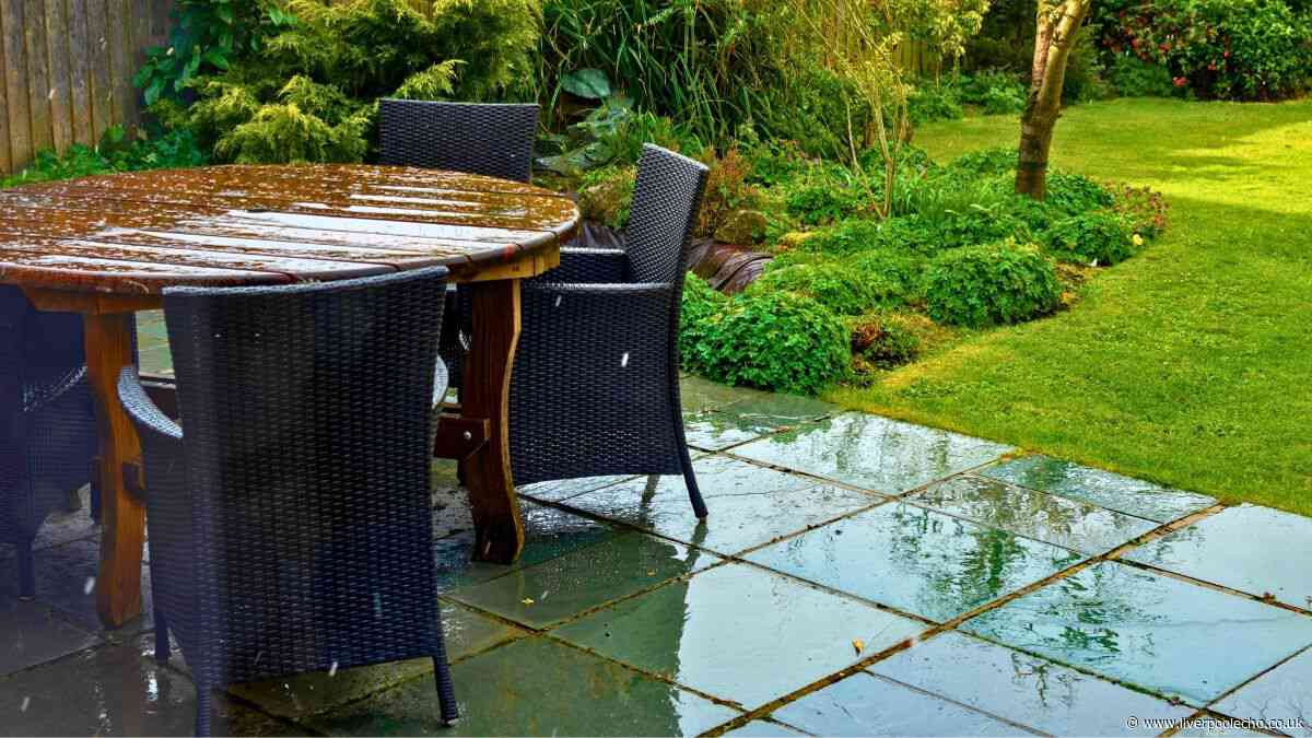 Gardeners urged to sprinkle 1 item around plants as rain returns