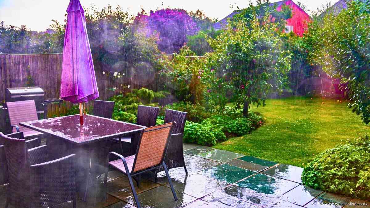 Gardeners urged to place 1 item around flowers now that rain has returned