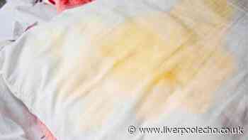 Get stained and dirty pillows white again by adding 1 natural item to the washing machine