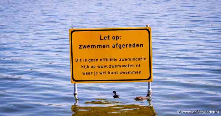 Al het zwemwater in Nederland is vervuild met chemische stoffen, blijkt uit onderzoek: ‘Overheid grijpt niet in’