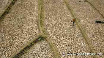 El Niño wird laut WMO-Bericht sehr stark ausfallen