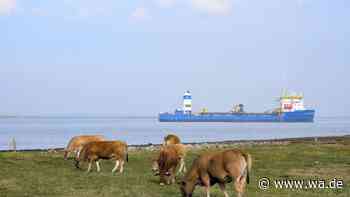 Das ist die westlichste Provinz der Niederlande – sie ist besonders dünn besiedelt
