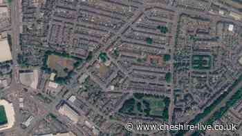 Two men aged 66 and 80 among seven arrested after town centre 'altercation'