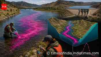 In 2010, US scientists tracked dye 41.2 miles in Montana’s Missouri River; a reservoir held it 8.2 hours