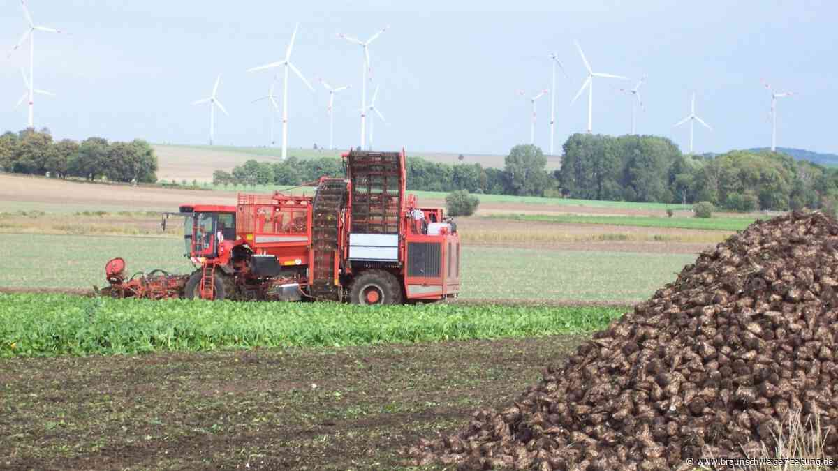 Rübenernte startet: Landkreis Wolfenbüttel warnt vor rutschigen Straßen