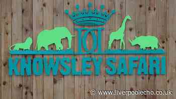 Knowsley Safari Park introduces new animals after recent death of others