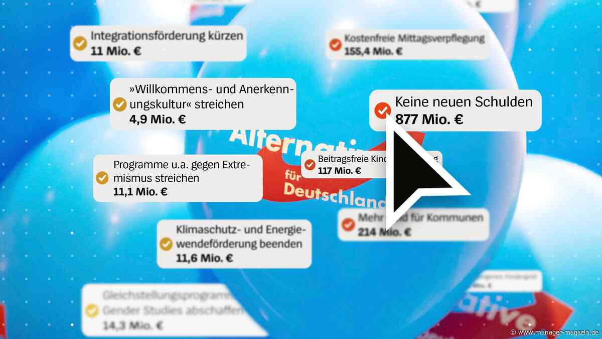 AfD in Sachsen-Anhalt: Welche Löcher die Partei in den Haushalt reißen würde