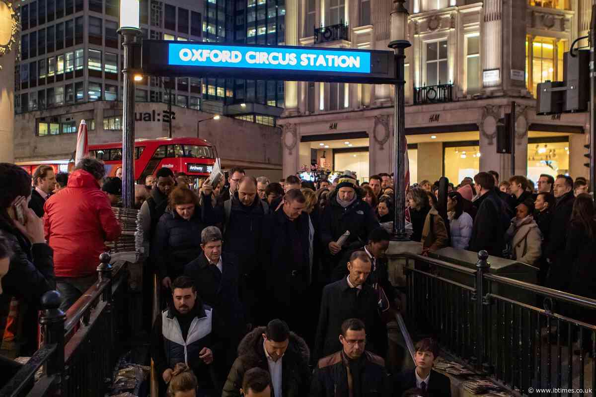 Two London Underground Mice Caught 'Boxing' at Oxford Circus in Hilarious Viral Tube Video