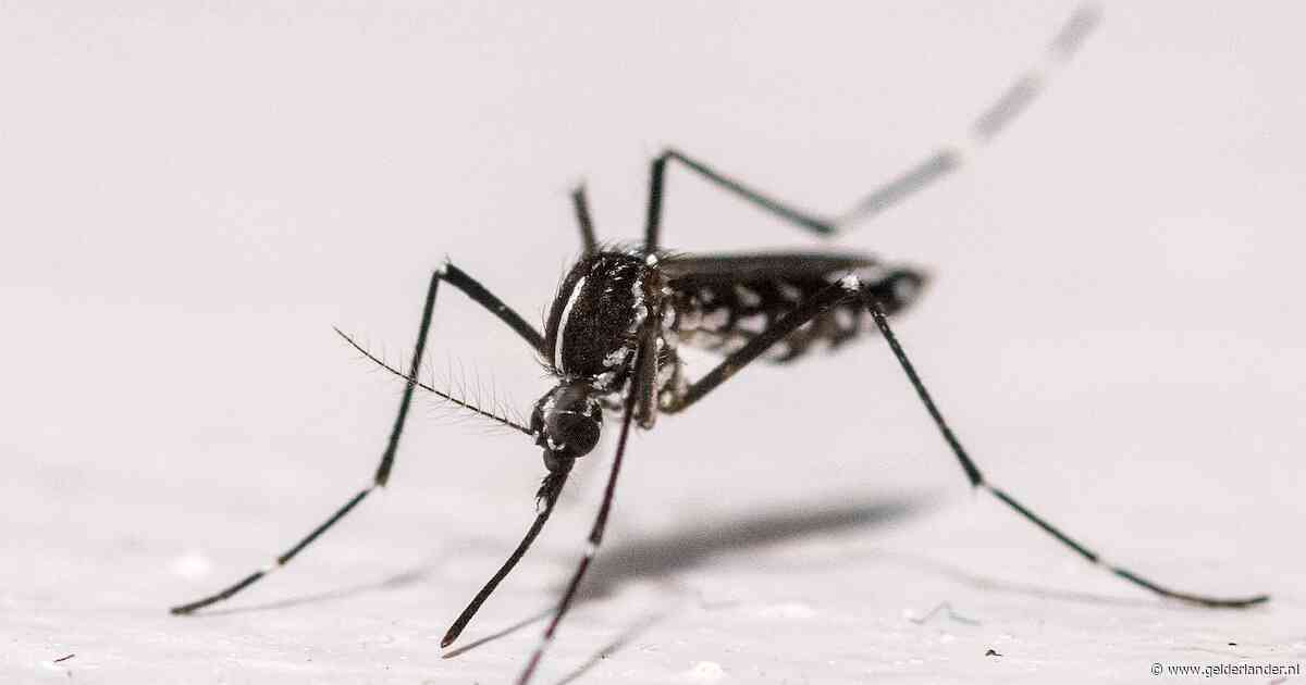 Al negen besmettingen met westnijlvirus vastgesteld die in Nederland zijn opgelopen, tot nu toe één dode