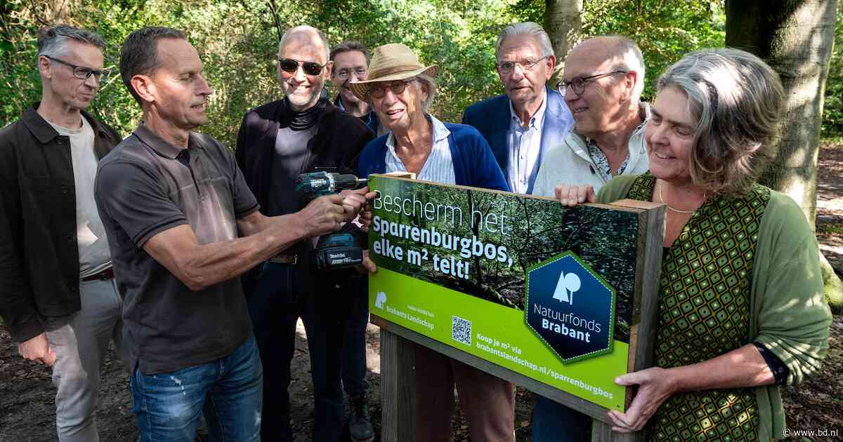 Sparrenburgbos in Rosmalen deels gered: buurtbewoners kunnen een stukje bos kopen