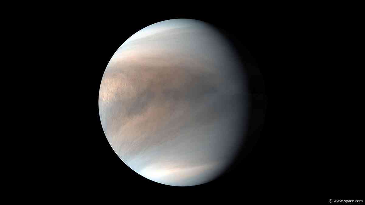 Rocket issues delay 1st-ever private mission to Venus: 'We are awaiting Neutron readiness'