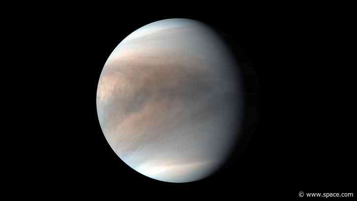 Rocket issues delay 1st-ever private mission to Venus: 'We are awaiting Neutron readiness'