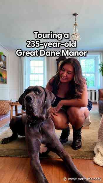 Inside A 235-Year-Old Manor Built Around A Great Dane | The Dodo