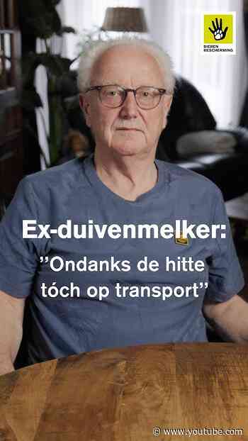 20.000 postduiven VERLOREN in één weekend...