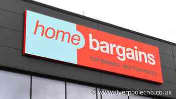 Home Bargains' 13p-to-use gadget offers 'instant heat on chilly days'