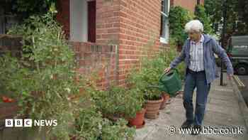 Removal notice for woman's 25-year street garden