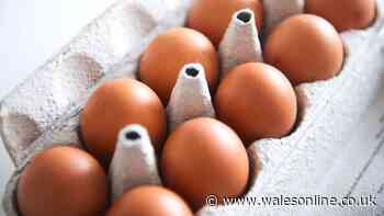 Eggs will stay fresh if you keep them in unusual place — better than cupboards